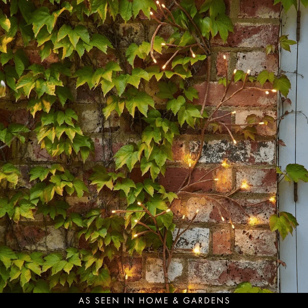 Garden Ivy Lights