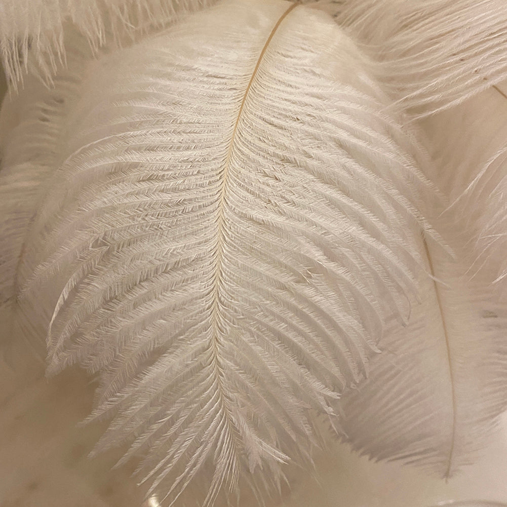 Feathra - Feather Table Light