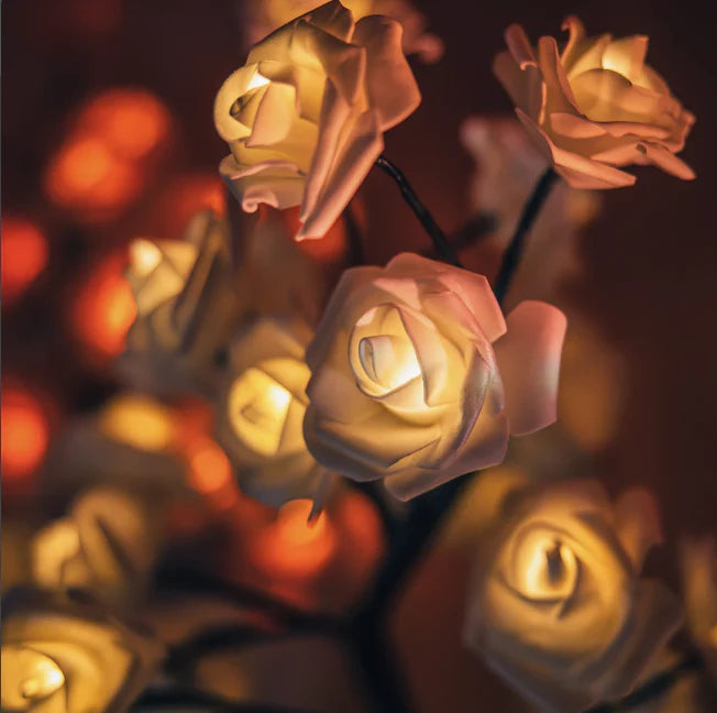 Soothing Rose Lamp