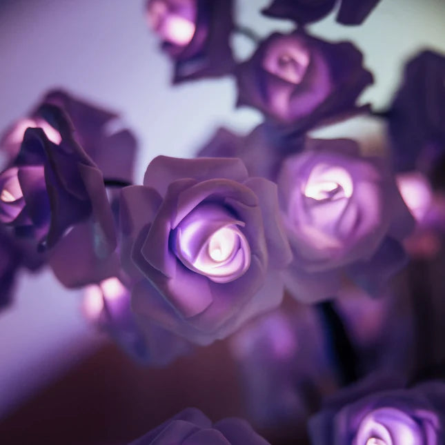 Soothing Rose Lamp