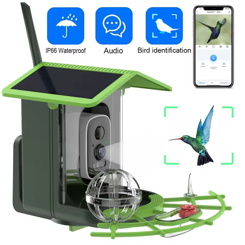 BirdView Solar Feeder – Smart Bird Camera with AI Recognition