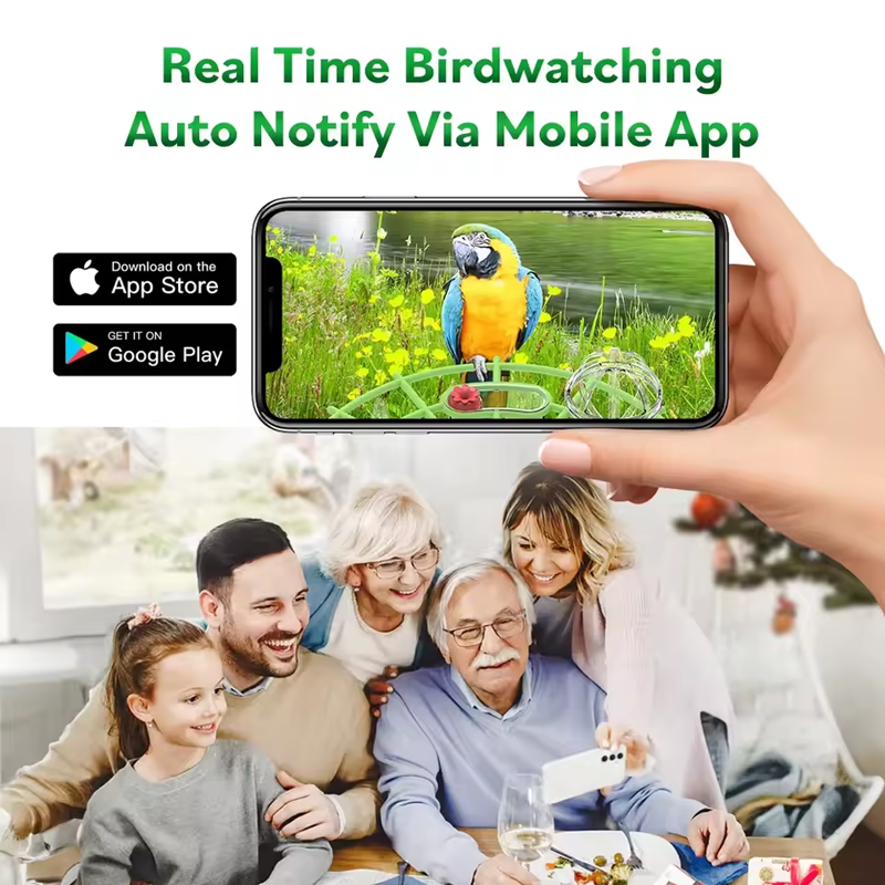 BirdView Solar Feeder – Smart Bird Camera with AI Recognition