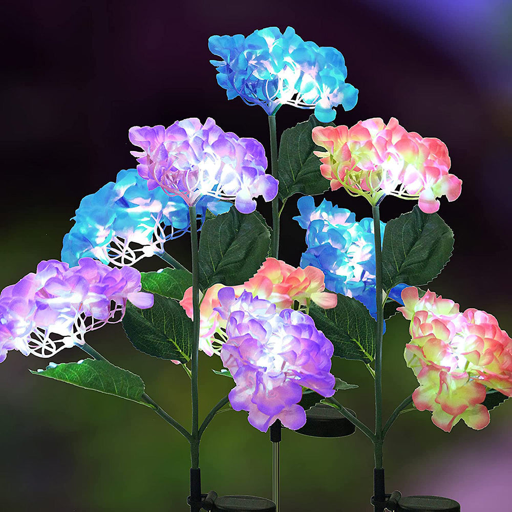 Hydrangea - Solar lamps