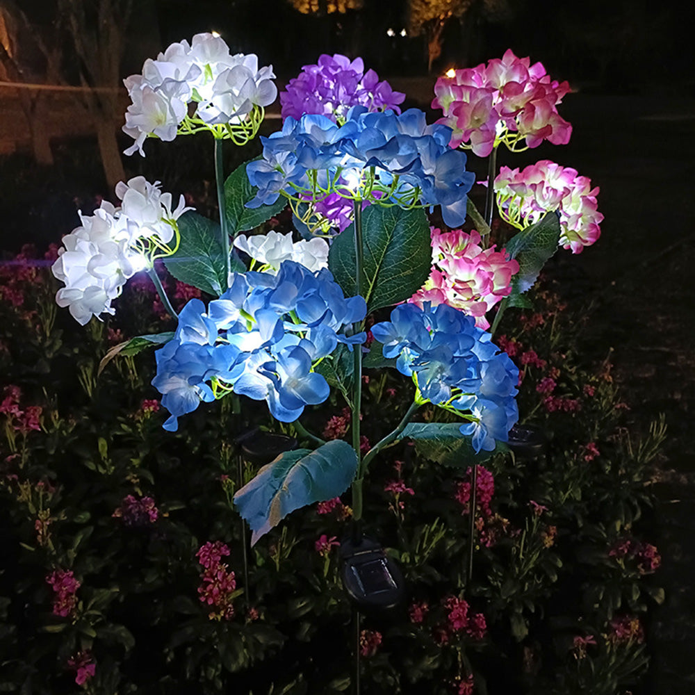 Hydrangea - Solar lamps