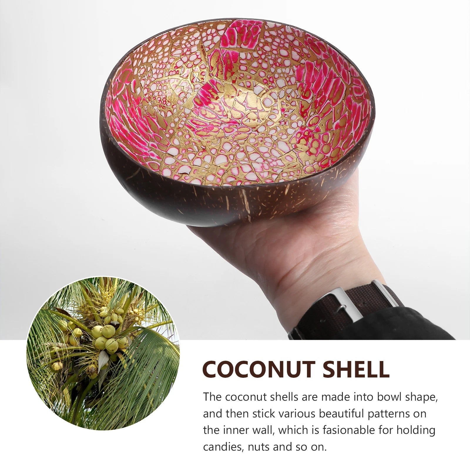 Coconut Shell Bowl