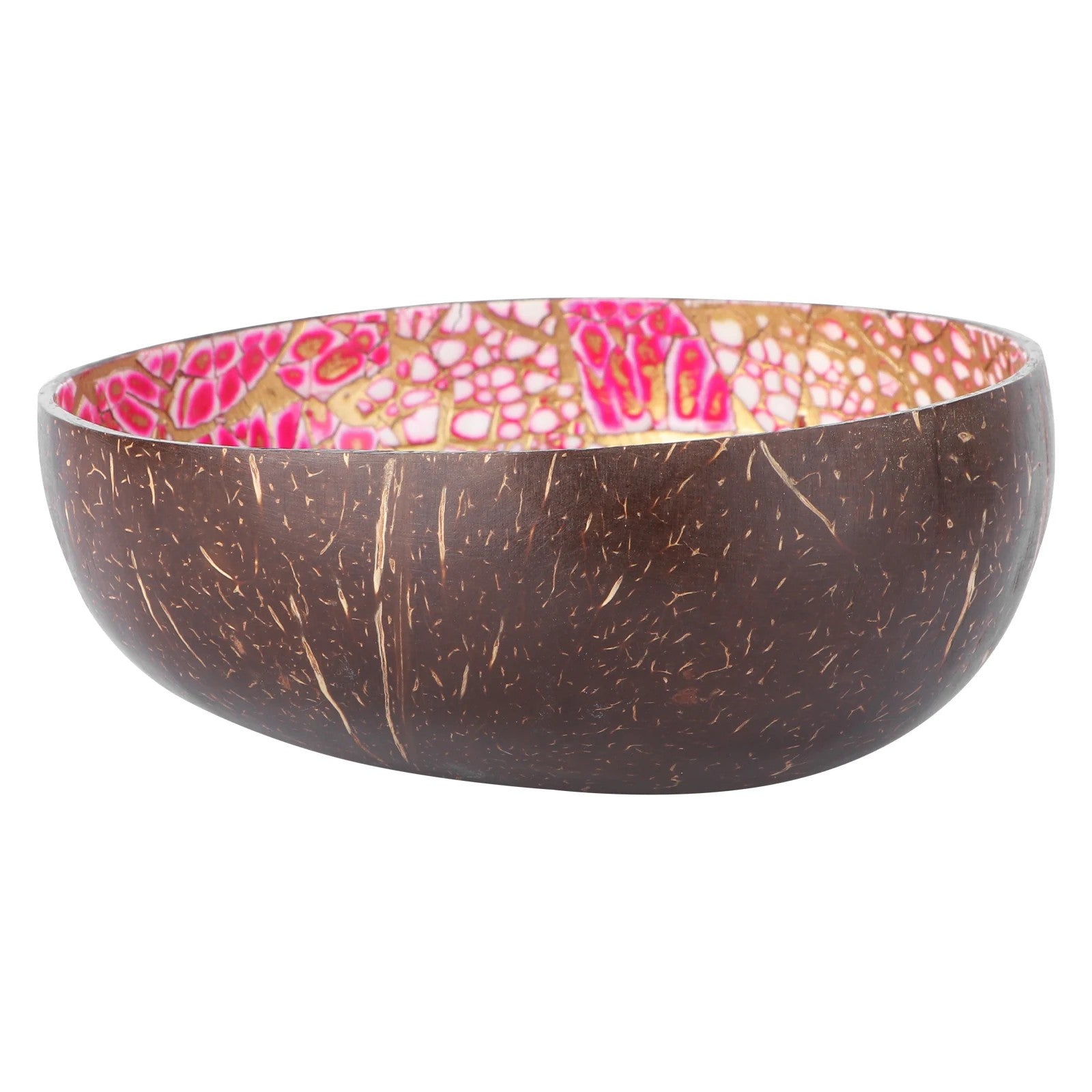 Coconut Shell Bowl