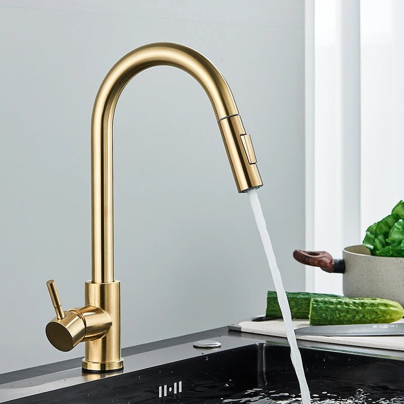 LuxeFlow Kitchen Faucet