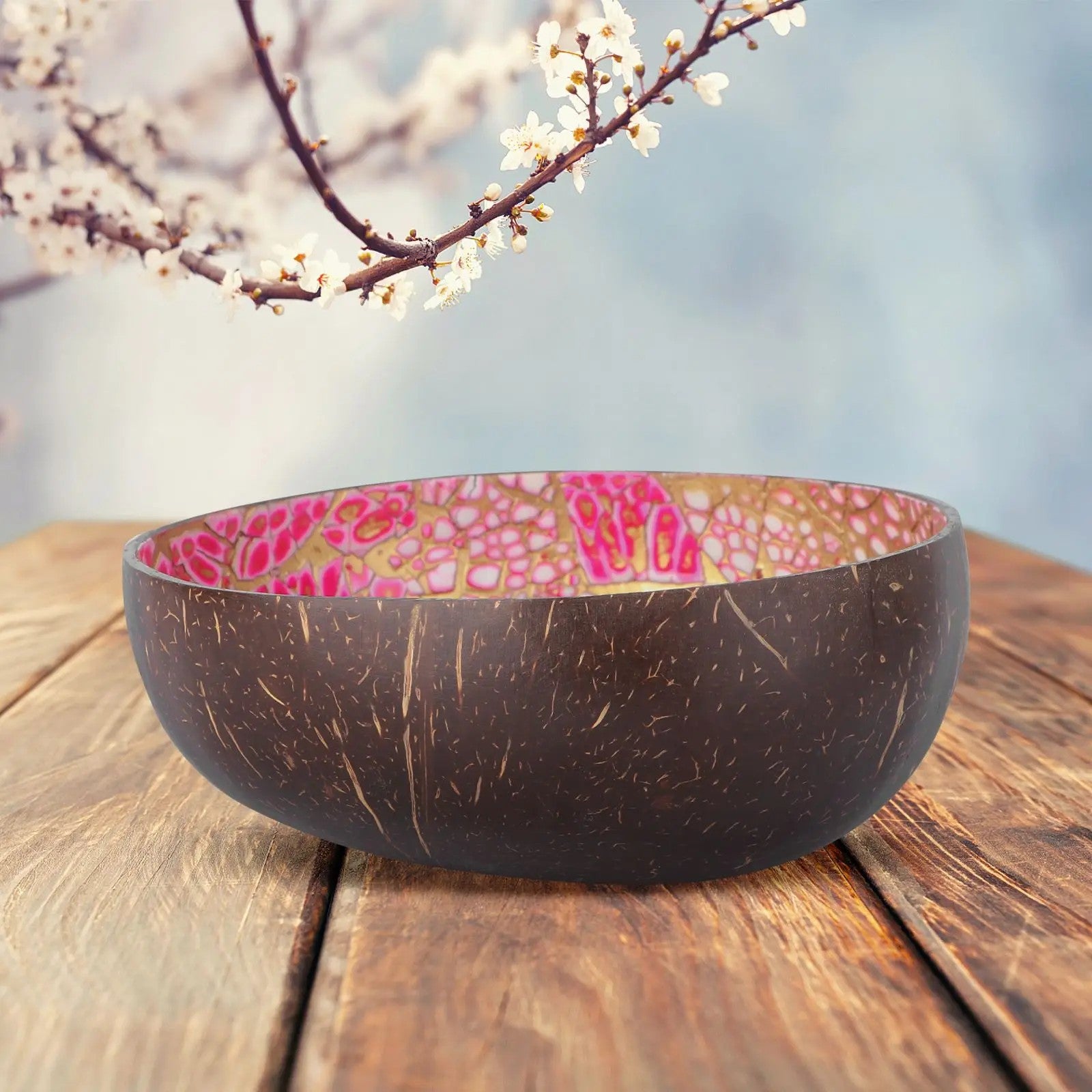 Coconut Shell Bowl