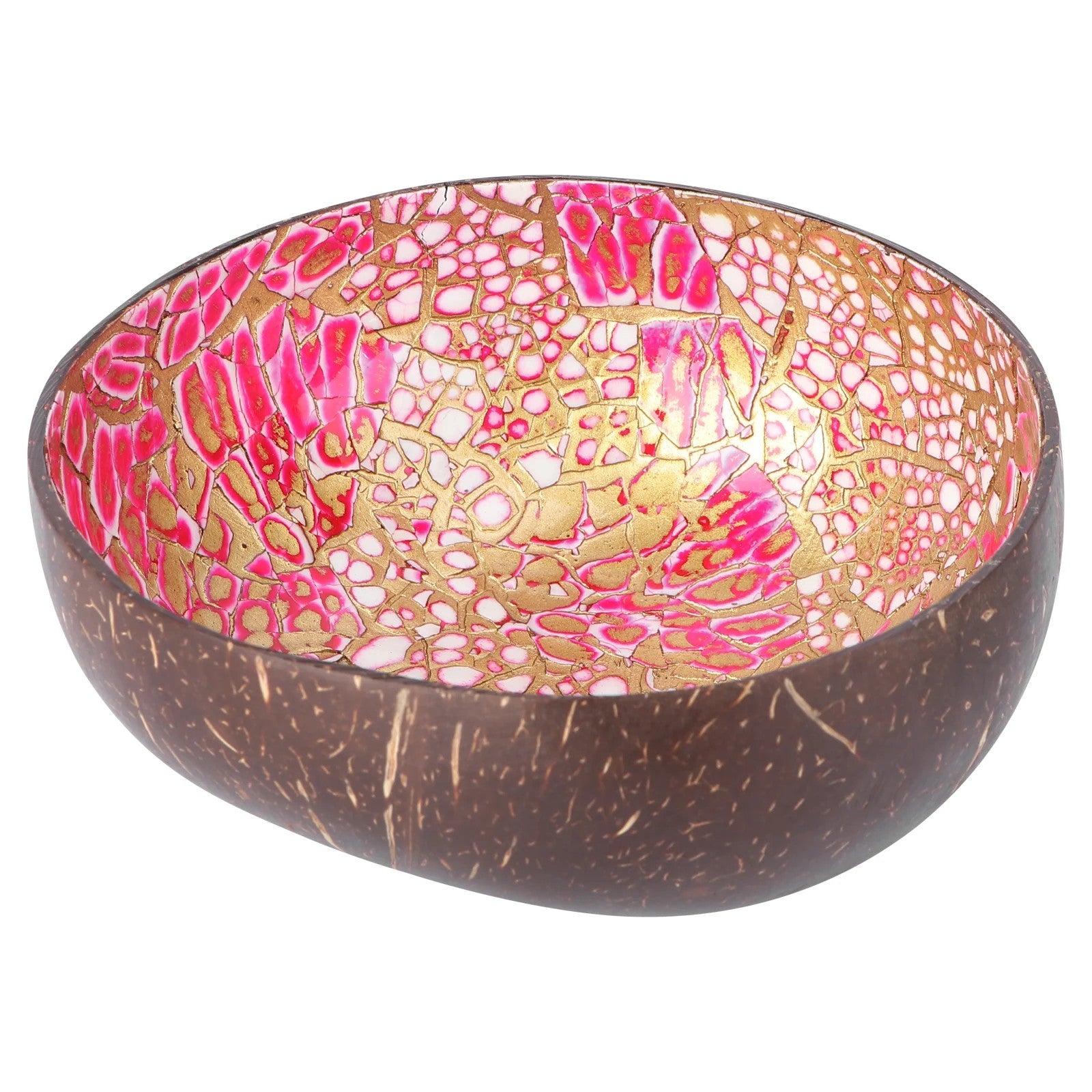 Coconut Shell Bowl