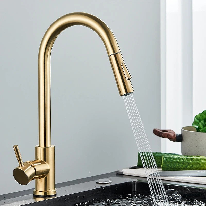 LuxeFlow Kitchen Faucet