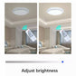 IlluminateSolar Ceiling™- Pro Solar Ceiling Light Indoor/Outdoor